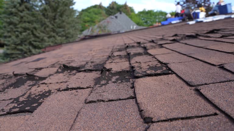 Best Roof Coating and Sealing  in Adams, WI