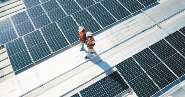 Best Skylight Installation and Repair  in Adams, WI